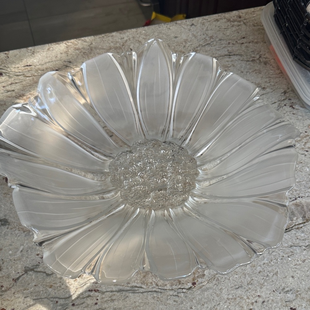 Mikasa Clear Glass Floral Plate bird bath theme